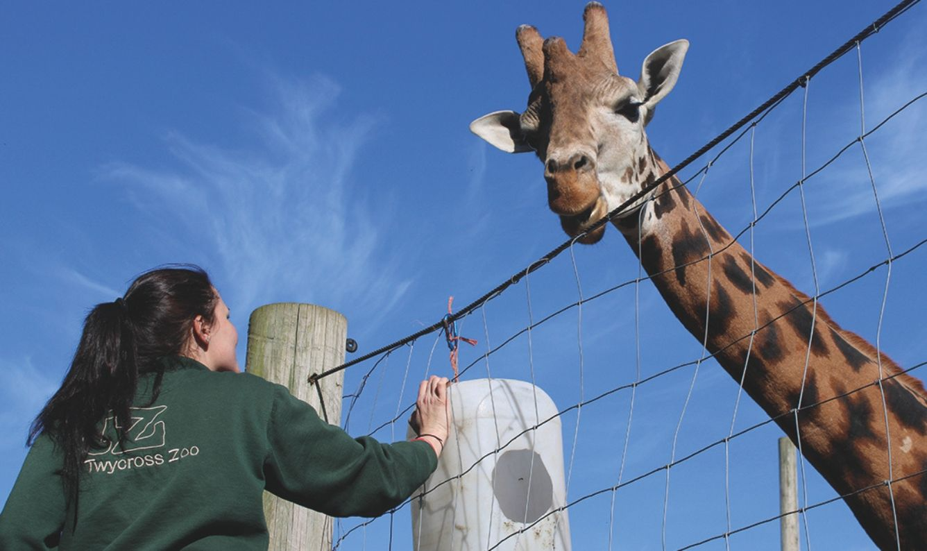 Twycross Zoo